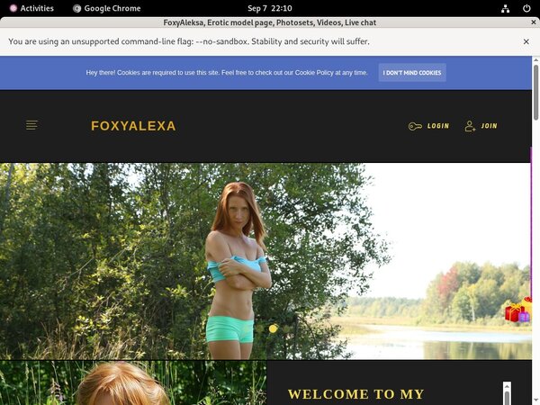 Acc For FoxyAleksa