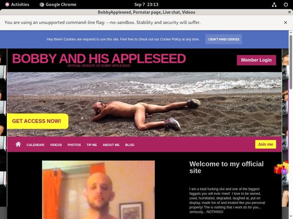 Bobbyappleseed.modelcentro.com Tour