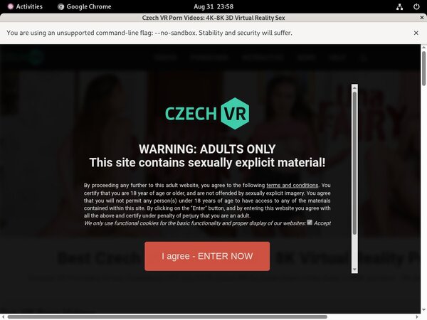 Czechvr.com Website