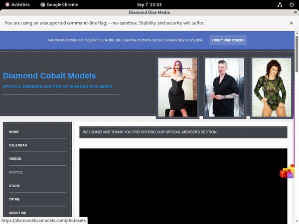 Diamonddivamodels.com Hacked Password