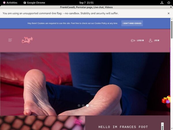 Discount FrankiCavalli Link
