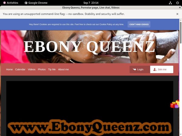 Ebonyqueenz.modelcentro.com Payment Methods