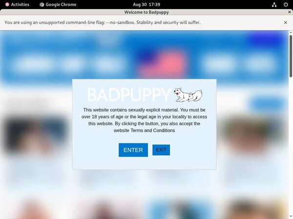 Free Bad Puppy User And Pass Free Bad Puppy User And Pass