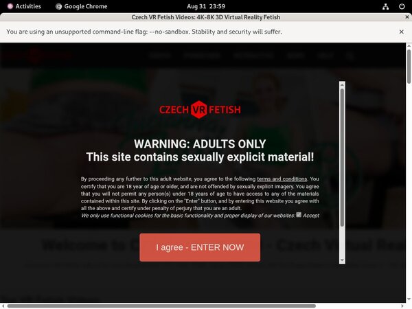 Free Czechvrfetish.com Passwords 2018
