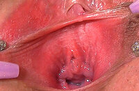 Free Gapemypussy.com Account And Password s1 Free Gapemypussy.com Account And Password s1