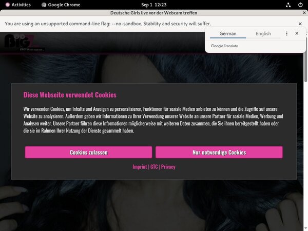 Free Lanagiselle.tv Account Passwords