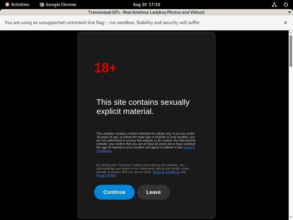 Free Transsexual GFs Account Password