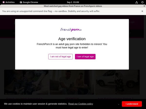 French Porn Gay Paypal Checkout
