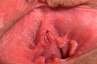 Gape My Pussy X s0