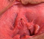 Gapemypussy.com Bdsm Gapemypussy.com Bdsm