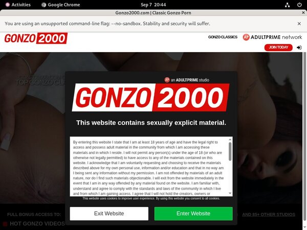 Gonzo 2000 Discount Coupon