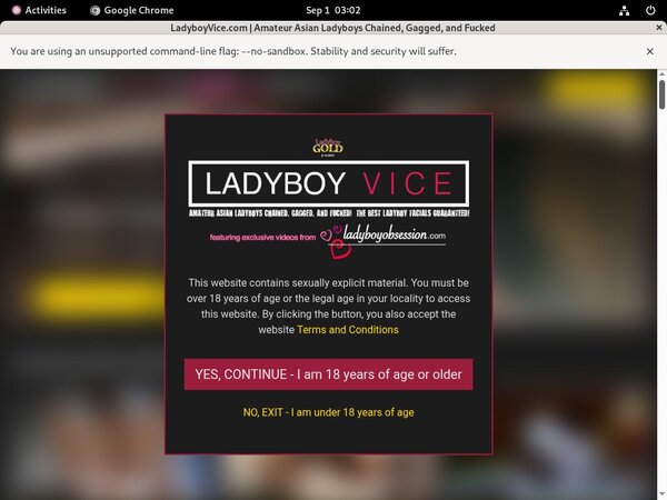 How To Get A Free Ladyboyvice Account