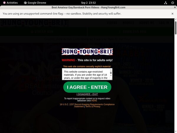 Hung Young Brit Promo Tour