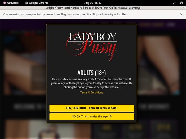 Ladyboy Pussy Online Video