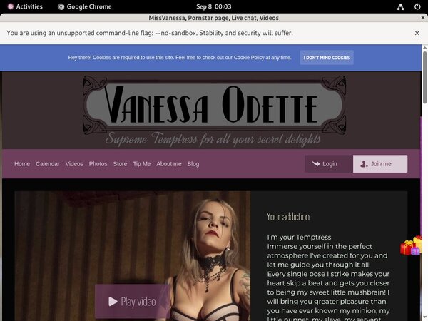 Login Missvanessa.modelcentro.com Free