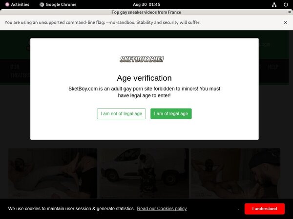 Membership To Sketboy.com