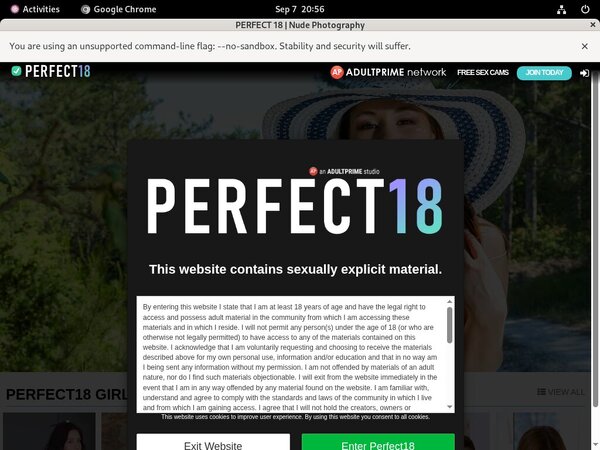 Perfect 18 Free Logins 2018