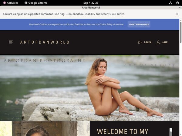 Promo Artofdan