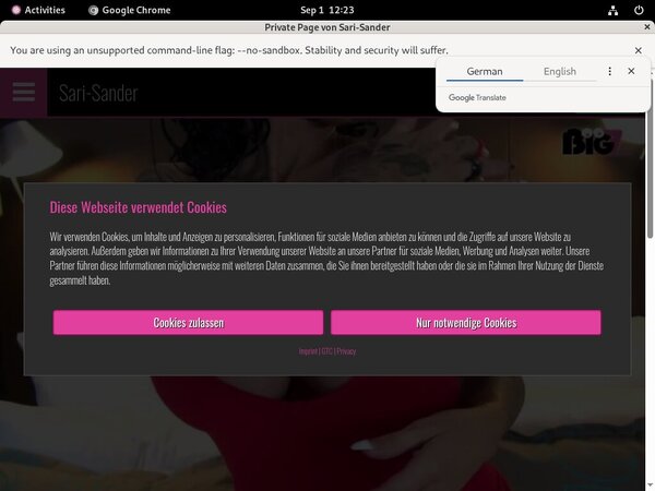 Sari Sander With EUDebit