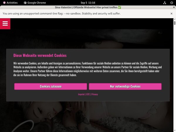 Sina Valentini Limited Discount