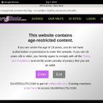 Slutssilver Discount Link