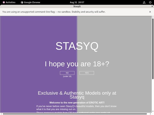 Stasy Q Netcash