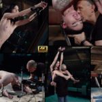 Subspace Land Com Logins