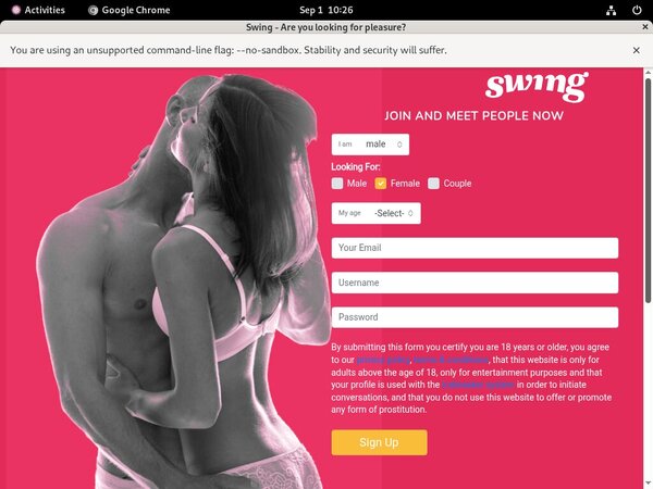 Swing.net Logins