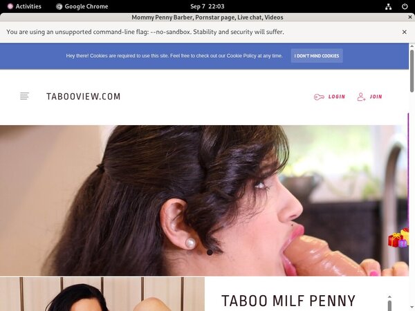 Use Paypal Mommy Penny Barber