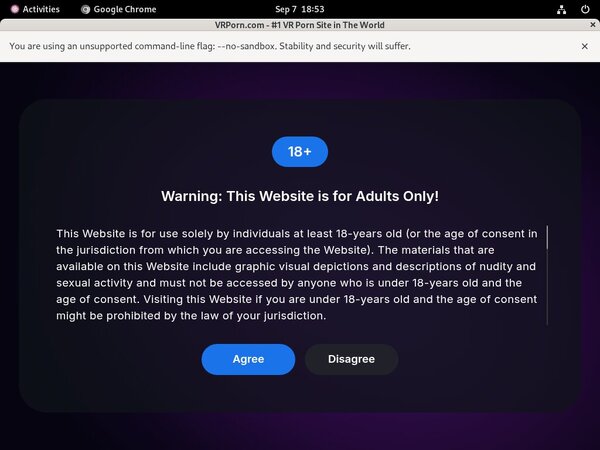 Vrporn.com Web Billing