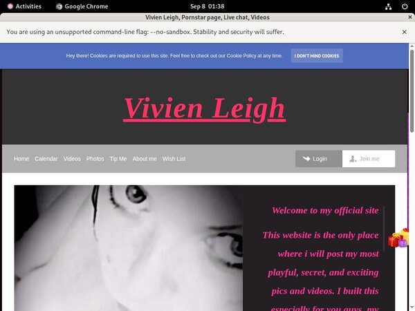 Working Vivienleighandme.modelcentro.com Pass