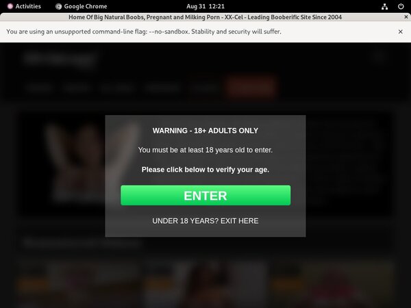 XX-Cel Password Torrent