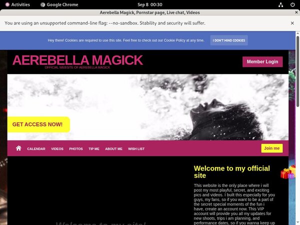 Aerebellamagick.modelcentro.com Account And Passwords