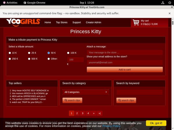 Kitty Princess Login Account