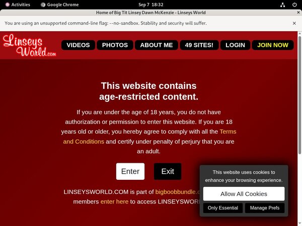 Linseysworld.com Active Accounts