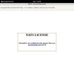 Thesinslife Website